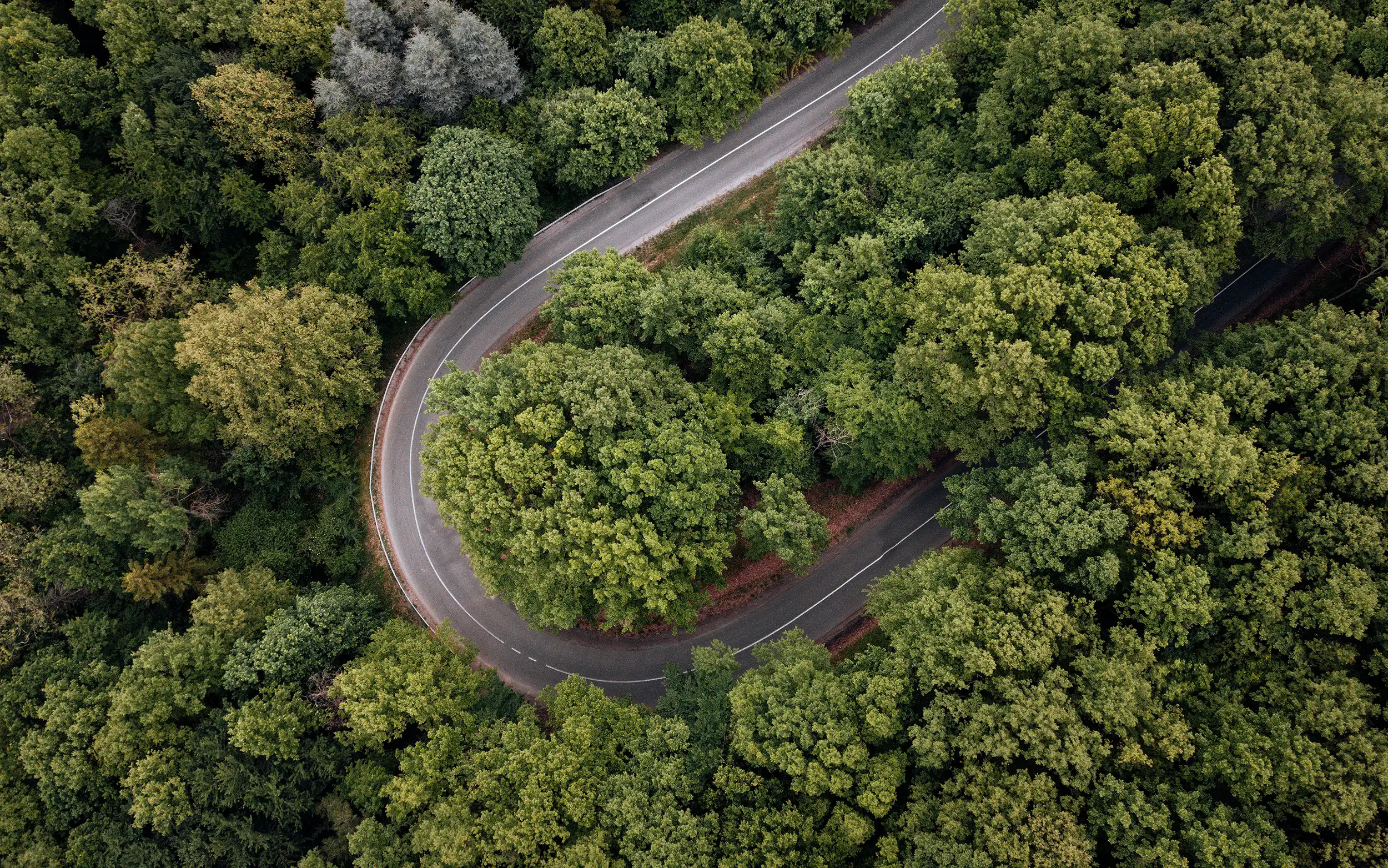 road overhead